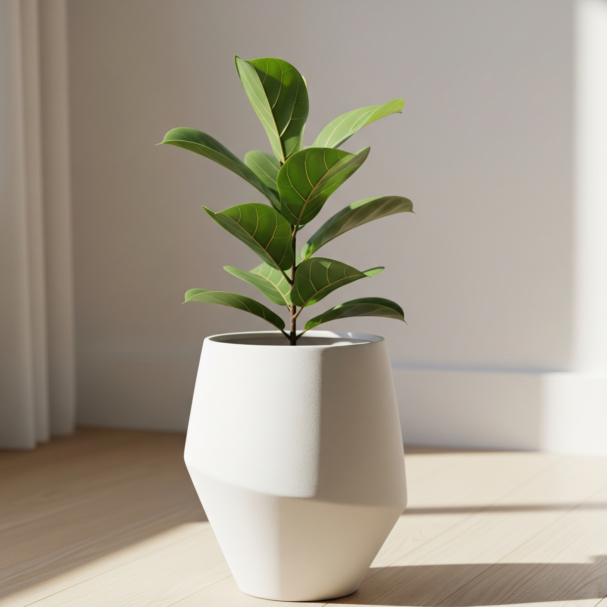 Arcadia Sculptural Ceramic Planter