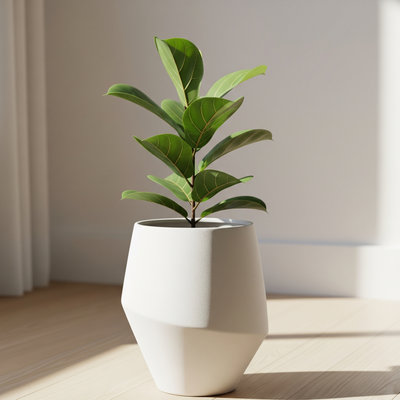 Arcadia Sculptural Ceramic Planter